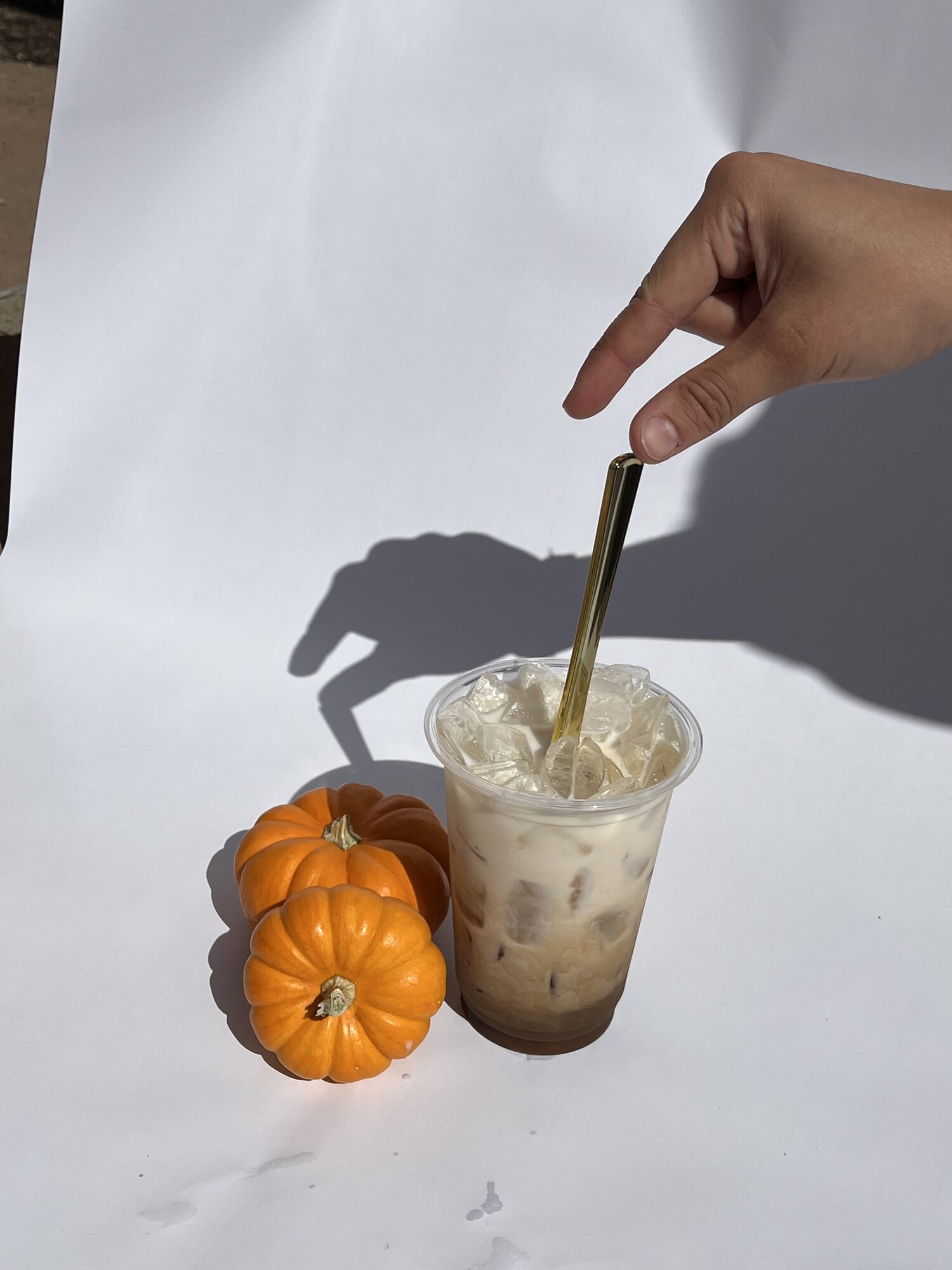 Fall menu photoshoot